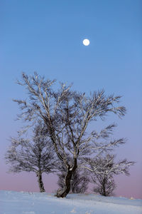 Scenic view of snow covered land against clear blue sky