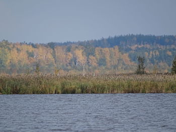 Scenic view of lake against clear sky
