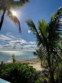 Palm trees by sea against sky