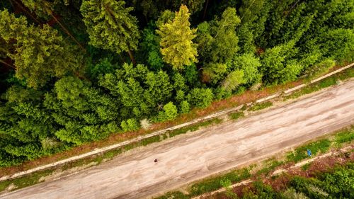 Aerial view of empty road by trees in forest