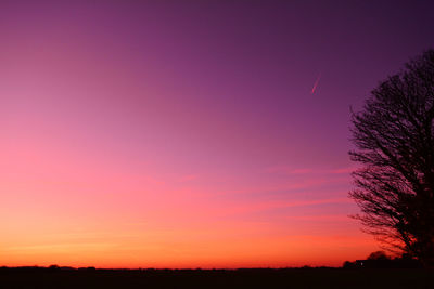 Silhouette trees against sky during sunset