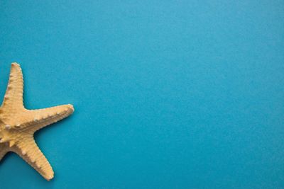 High angle view of blue coffee on table