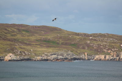 Bird flying over mountain against sky