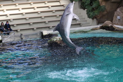 Water splashing in swimming pool