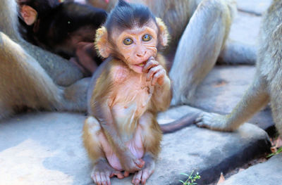 Portrait of young sitting outdoors