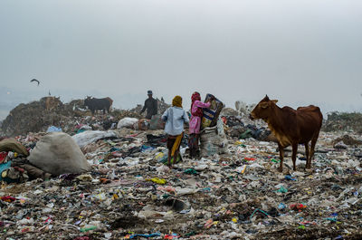 Landfill in new delhi india