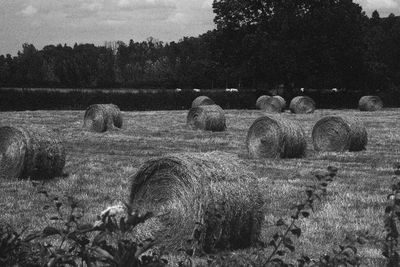 Hay bales on field against sky