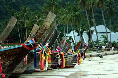 Row of longtail boats moored on shore at beach against coconut palm trees