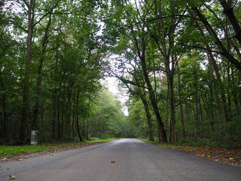 Road amidst trees in forest