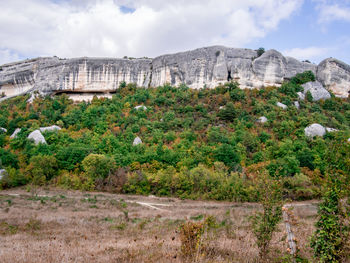 Plants growing on mountain against cloudy sky