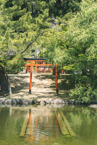 Scenic view of lake by trees in forest