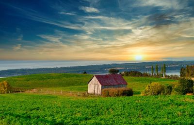 House on field against sky