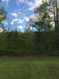 Trees on field against sky