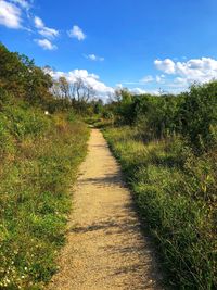 Footpath leading towards plants against sky