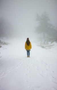 Young girl on her back, in the middle of the path of snowy trees.