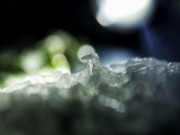 Close-up of water drop on leaf