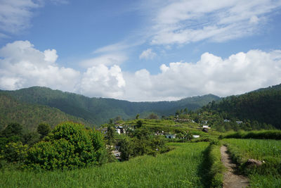 Scenic view of agricultural field against sky