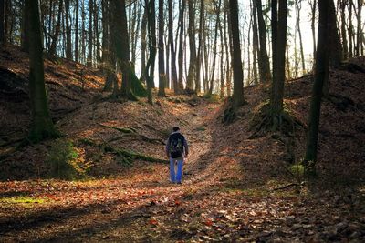 Rear view of man walking in forest during autumn