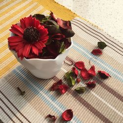 High angle view of flowers in vase on table