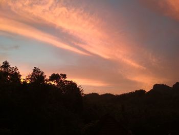 Low angle view of silhouette trees against sky during sunset