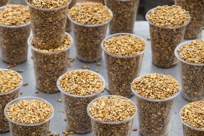 Bird feed in plastic cups for sale