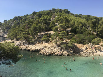 The calanque de port-pin is located between the creeks of port-miou and en-vau in marseille france. 