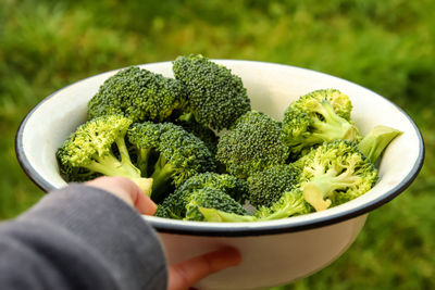 Close-up of broccoli