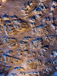 Close-up of footprints on sand