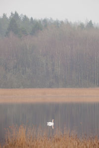 Boats in calm lake