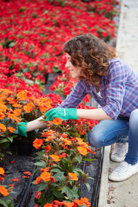 High angle view of woman picking flowers