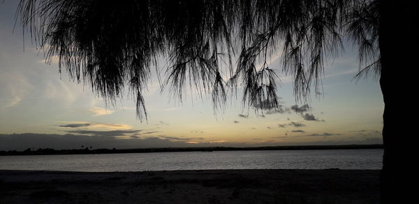 Silhouette tree by sea against sky during sunset