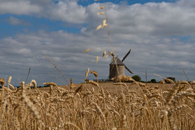 Hay bales on field against sky