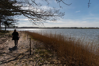 Rear view of man walking on shore against sky