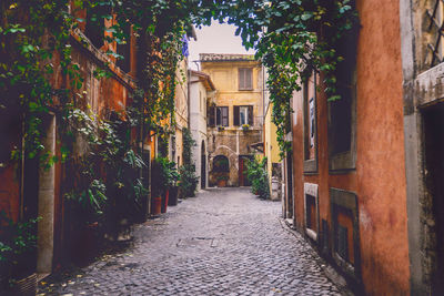 Walkway amidst historic building