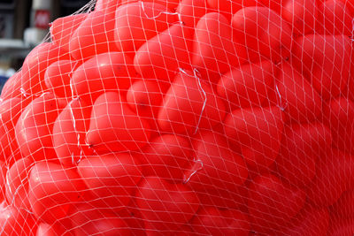 Close-up of red berries