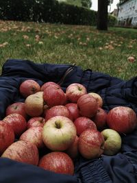 Full frame shot of fresh apples in field