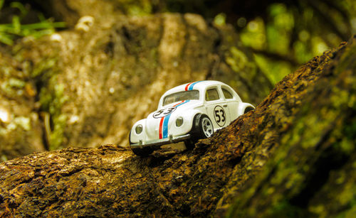 Close-up of toy car on tree trunk