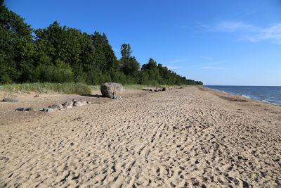 Scenic view of beach against blue sky