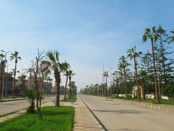 Road by palm trees against sky in city