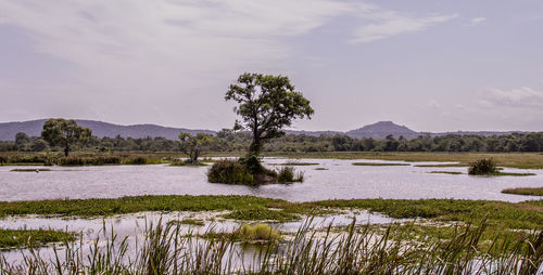 Scenic view of lake against sky