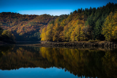 Scenic view of lake by trees against sky during autumn