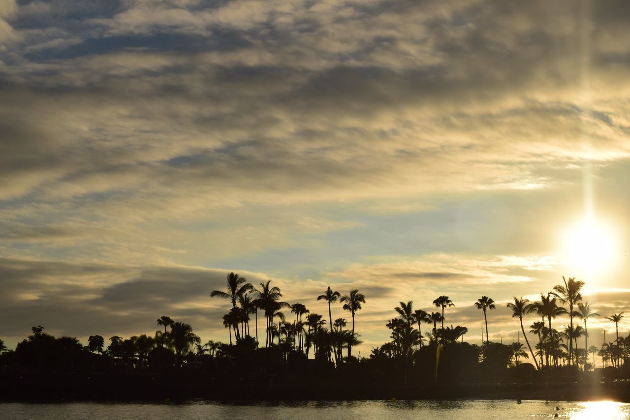 SILHOUETTE PALM TREES AGAINST SKY AT SUNSET