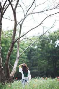 Bird perching on a tree