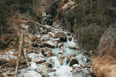 View of stream flowing through rocks in forest