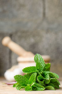 Close-up of green leaves on table