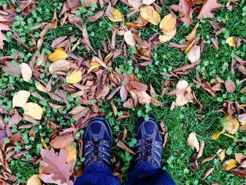 Low section of person standing in park