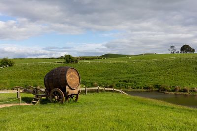 pasture