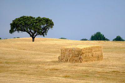 Hay bales on field against sky