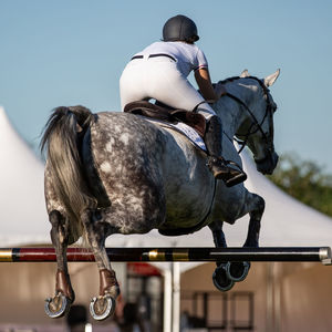 Rear view of man riding horse against sky