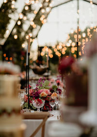 Close-up of flowering plants on table